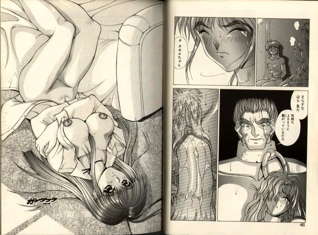 [Aki Matsuri] Gunbook -Soutou no Ookami- 3 - Transformation Fhentai - Page 23