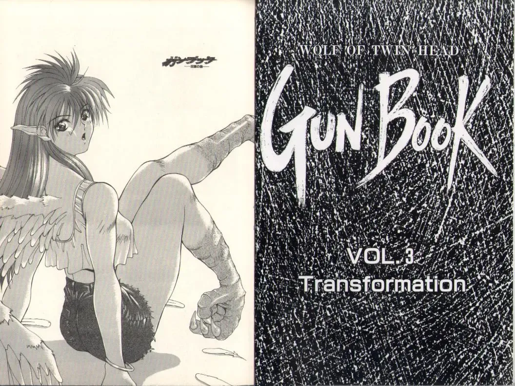 [Aki Matsuri] Gunbook -Soutou no Ookami- 3 - Transformation Fhentai - Page 3