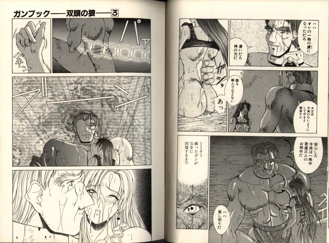 [Aki Matsuri] Gunbook -Soutou no Ookami- 3 - Transformation Fhentai - Page 32