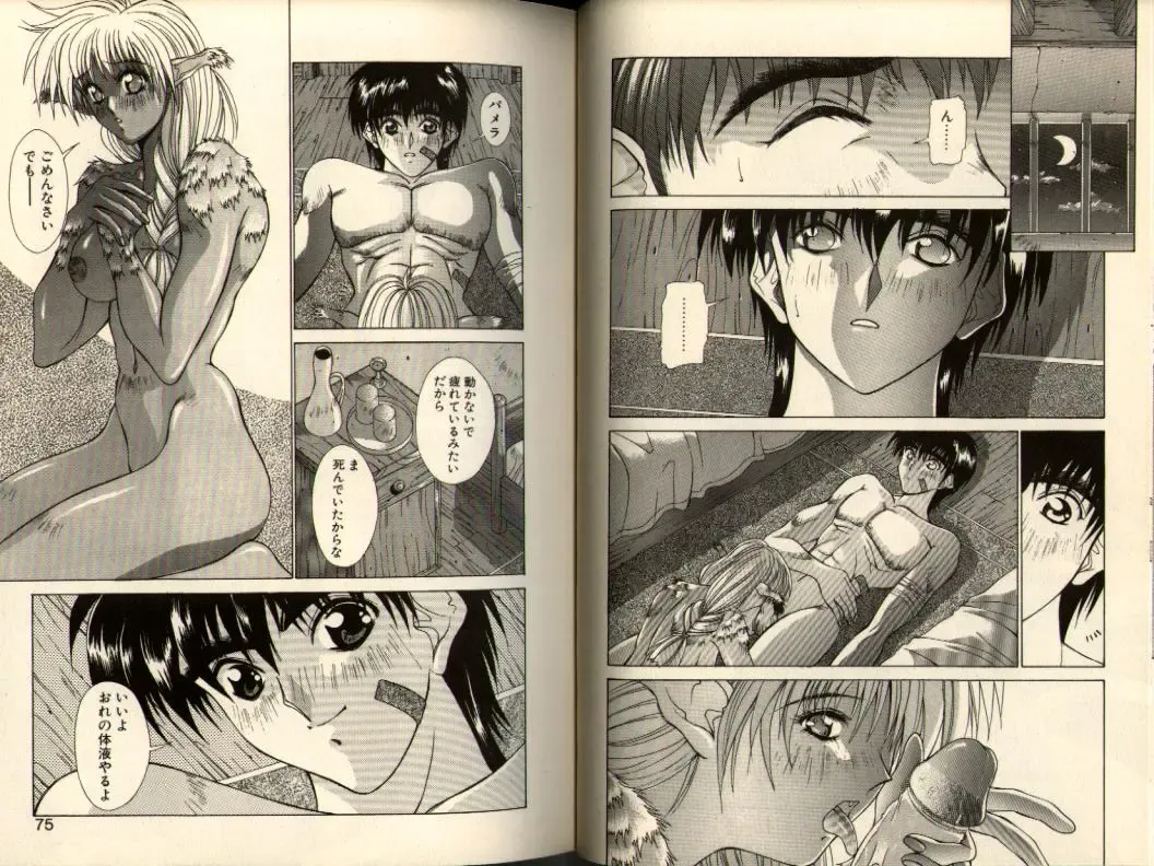 [Aki Matsuri] Gunbook -Soutou no Ookami- 3 - Transformation Fhentai - Page 37