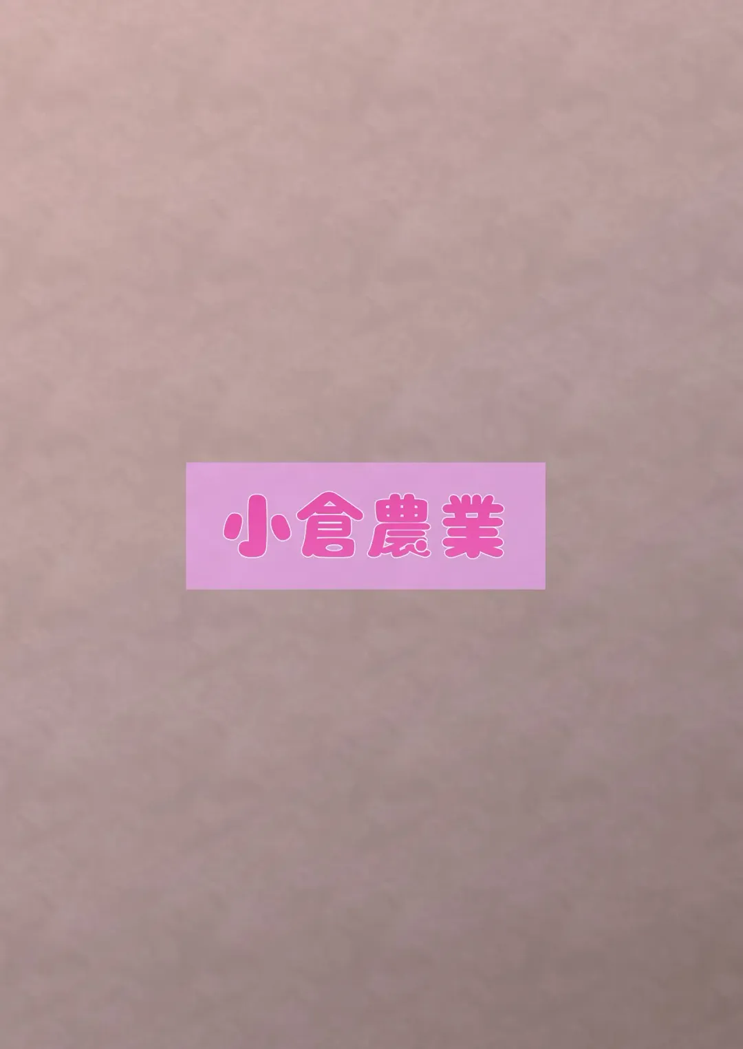 [Shiinyan] Nee Nee Otouto-kun! Onee-chan ni Suru? Onee-chan ni Suru? Soretomo... O-Ne-E-Cha-N? Fhentai - Page 22