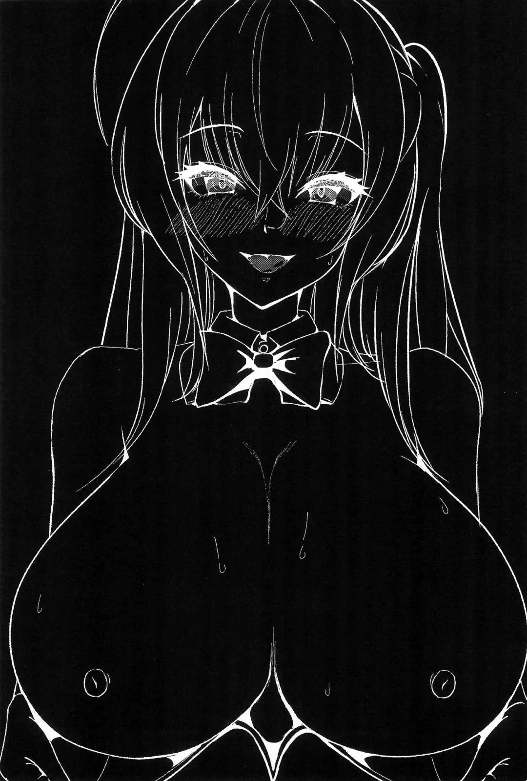 [Sano Sho] Taihou wa Shikikan-sama o Iyashitai Fhentai - Page 23