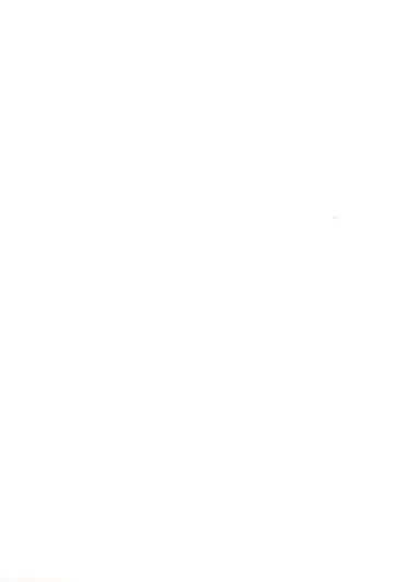 [Sano Sho] Taihou wa Shikikan-sama o Iyashitai Fhentai - Page 25