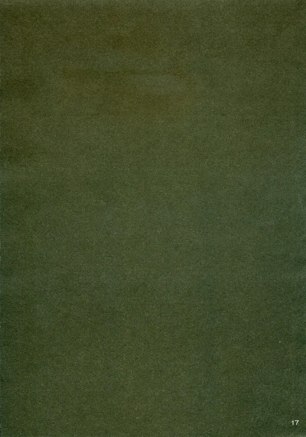 [Naruse Mamoru - Yuuki Hagure] ISLAND x ISLAND Fhentai - Page 16