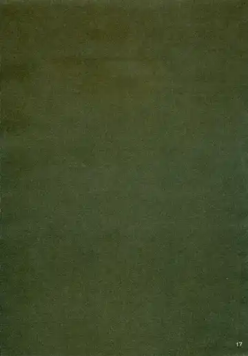 [Naruse Mamoru - Yuuki Hagure] ISLAND x ISLAND Fhentai - Page 16