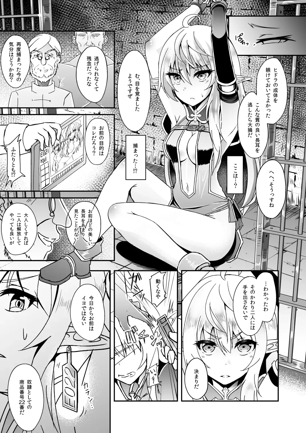 [Suisui] Toubou ELF Soushuuhen Fhentai - Page 17