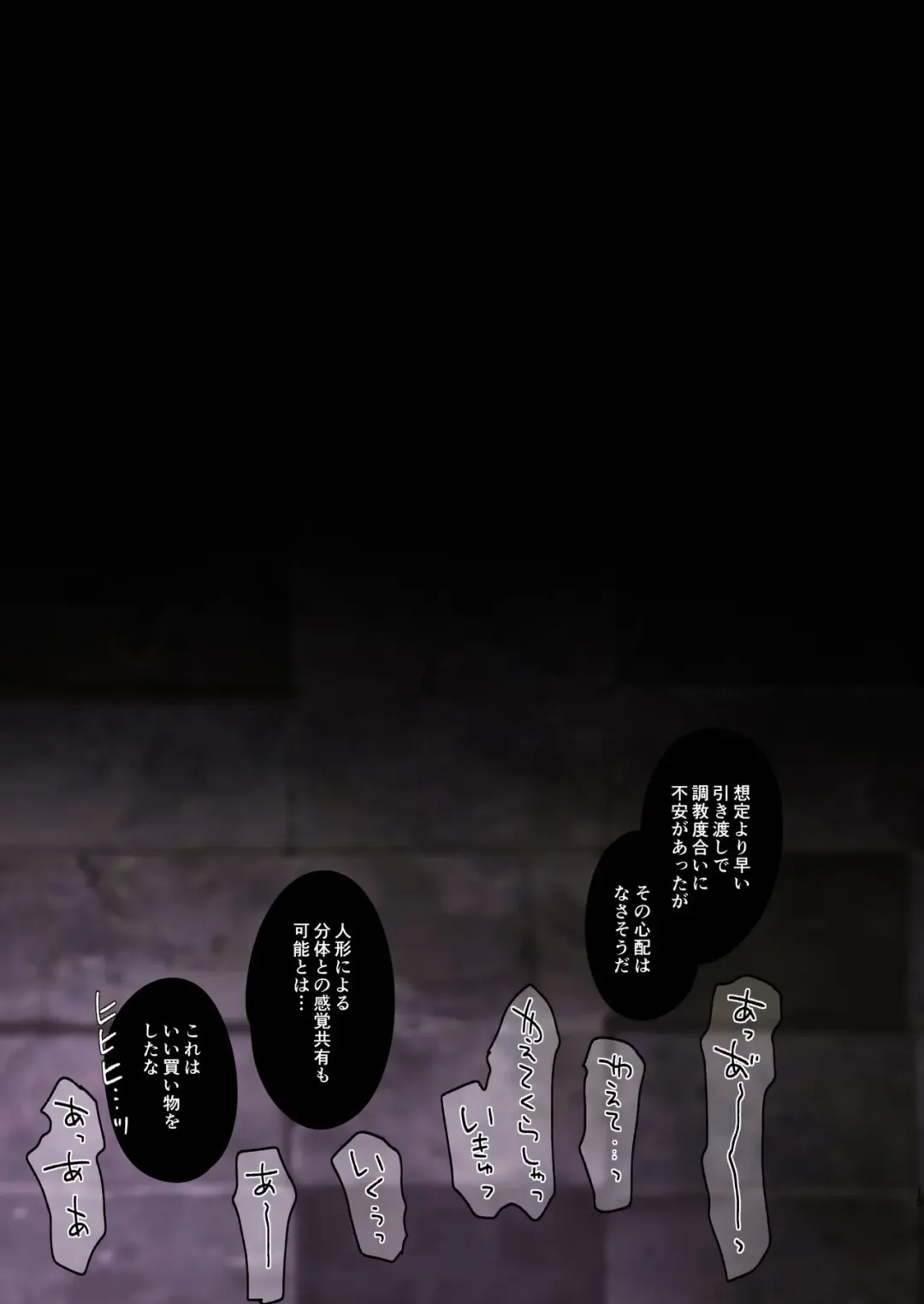 [Hoshina Meito] Play Doll .B Fhentai - Page 14