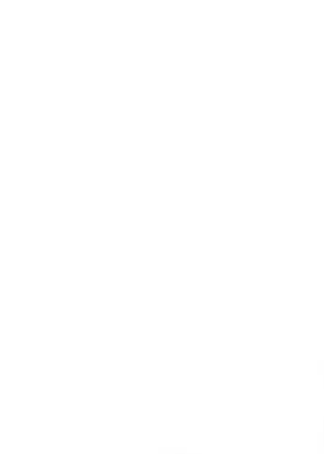 [Umihotaru Harumare] Nigemizu o Oikakete Fhentai - Page 3