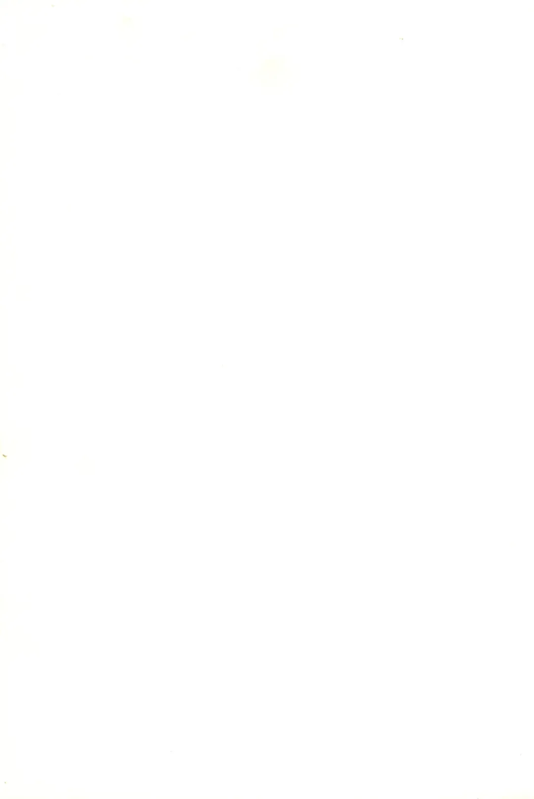 [Kawarajima Koh] Magical Selection Fhentai - Page 115