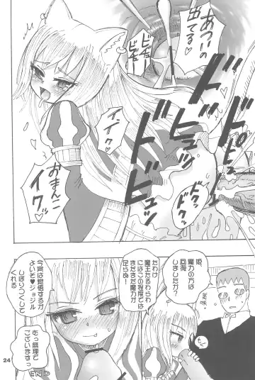 [Chilitan - Nikusyo - R-koga] Tsuyome Neko Fhentai - Page 24