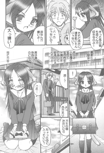 [Chilitan - Nikusyo - R-koga] Tsuyome Neko Fhentai - Page 4