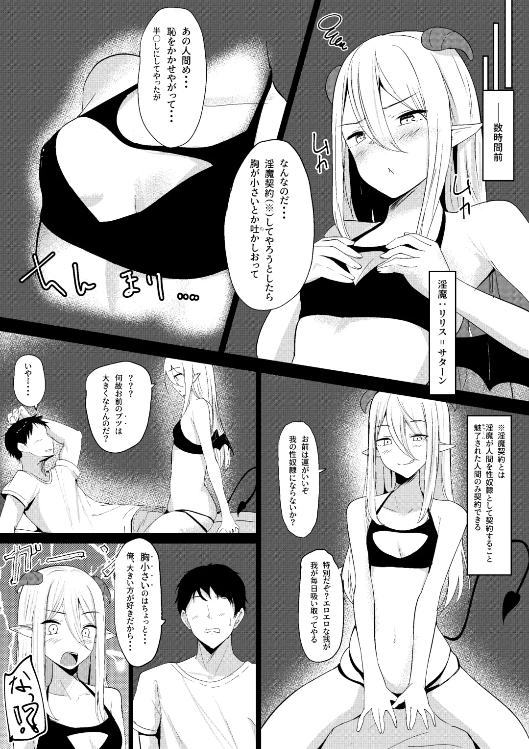 [Shura] Succubus Lily Fhentai - Page 7