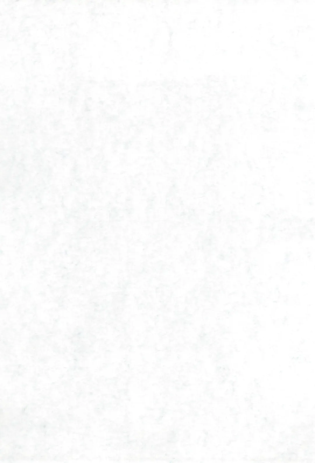 [Kai Kaina] Shino Buna Fhentai - Page 3