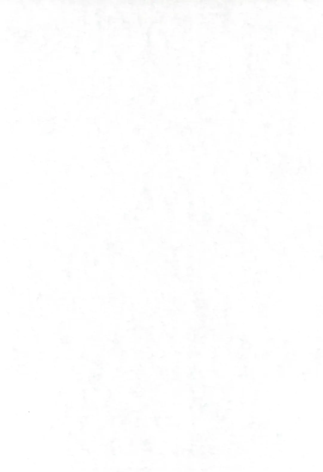 [Kai Kaina] Shino Buna Fhentai - Page 4