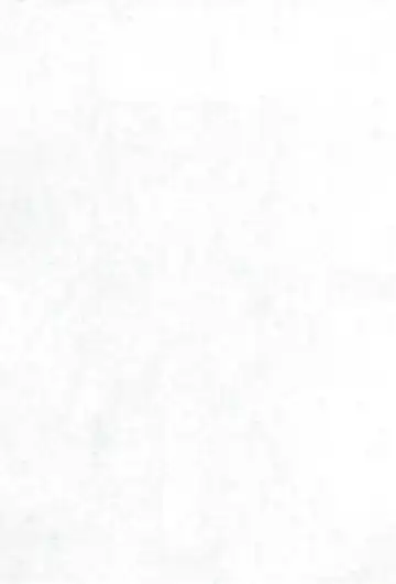 [Kai Kaina] Shino Buna Fhentai - Page 3