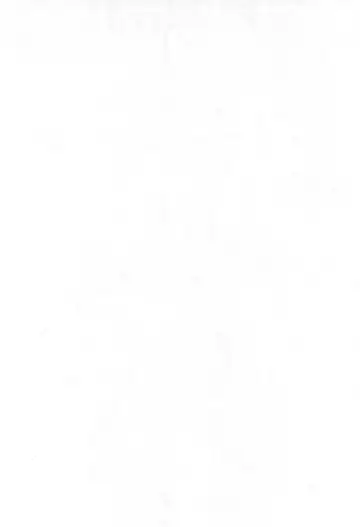 [Kai Kaina] Shino Buna Fhentai - Page 4