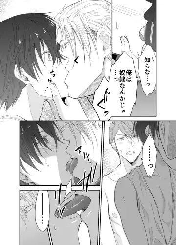 [Souchou Shin] Isekai Teni shitara Seidorei to Shite no Jinsei ga Matte imashita Fhentai - Page 13