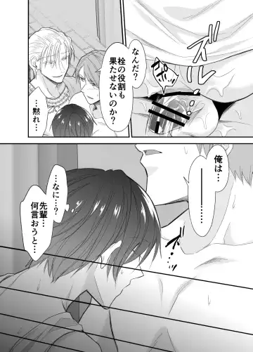 [Souchou Shin] Isekai Teni shitara Seidorei to Shite no Jinsei ga Matte imashita Fhentai - Page 46