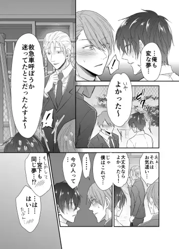 [Souchou Shin] Isekai Teni shitara Seidorei to Shite no Jinsei ga Matte imashita Fhentai - Page 48