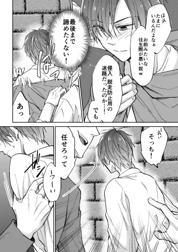 [Souchou Shin] Tenseisaki de Boujakubujin na Otouto (Mazoku) ni Shinu hodo Aisarete imasu Fhentai - Page 13