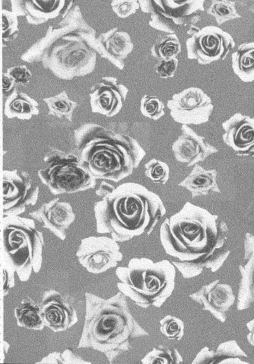 [Kemoribbon - Renge] Later Years Fhentai - Page 3