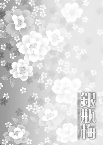 [Tomto] Yin Ping Mei・○pei no Seisaiyodatsu Fhentai - Page 2