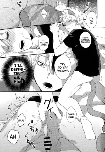 [Kei] Neko Biyori Fhentai - Page 14