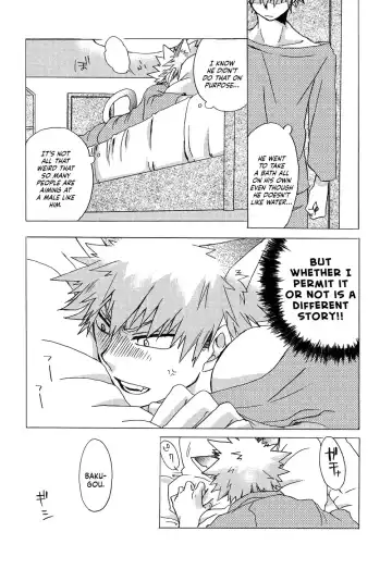 [Kei] Neko Biyori Fhentai - Page 21