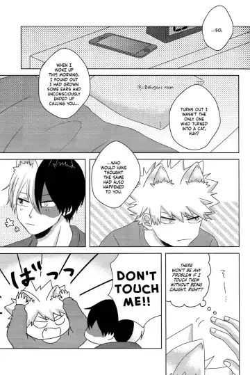 [Kei] Neko Biyori Fhentai - Page 64