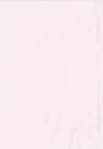 [Maguro Teikoku] Shihon Shugi no Seishin - Der Geist des Kapitarismus Fhentai - Page 5