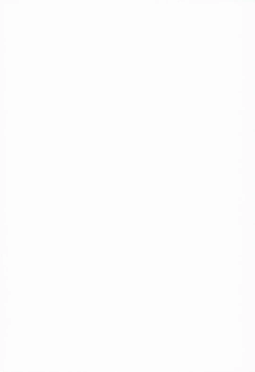 [Locon] Natsu no Takenawa Fhentai - Page 2