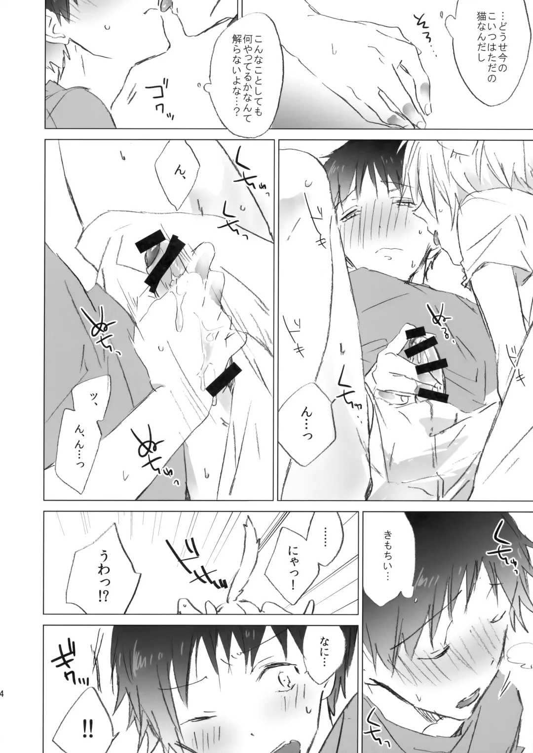 [Meco] NECOKARE Fhentai - Page 13