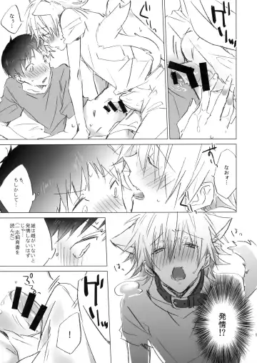 [Meco] NECOKARE Fhentai - Page 14