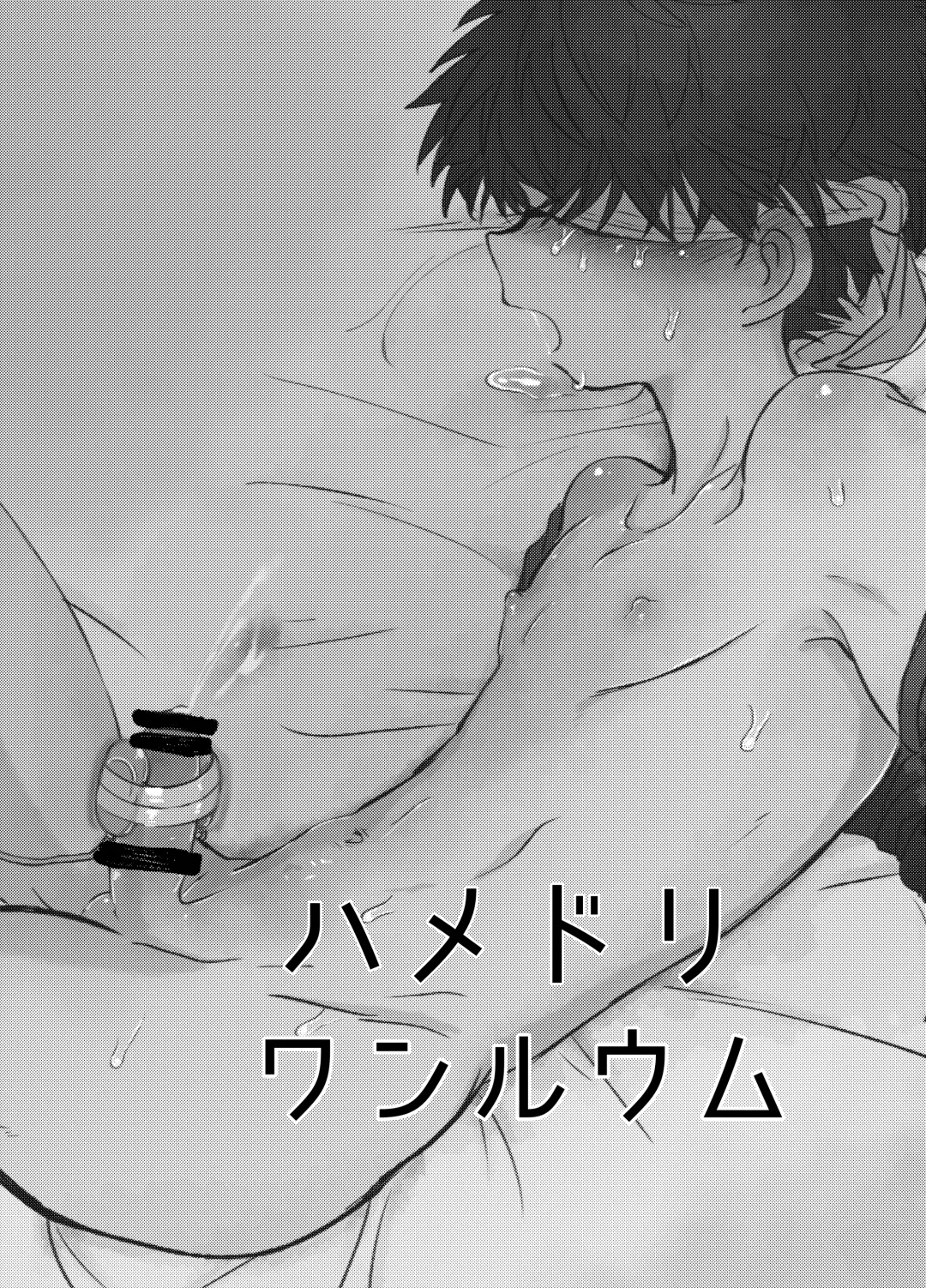 [Ematsuko] Hamedori One Room Fhentai - Page 2