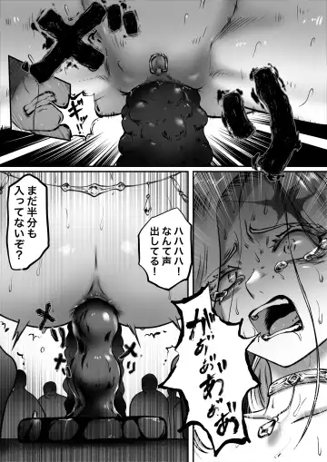 [Ibitsu Sugiru] Kishi no Hokori wa Nakusanai Part 2 Kyouran no Mai Fhentai - Page 26