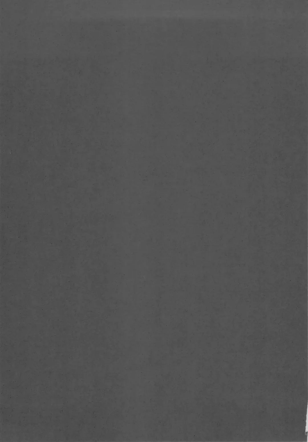 [Heizo - Kitoen] Saint Foire Festival Fhentai - Page 51