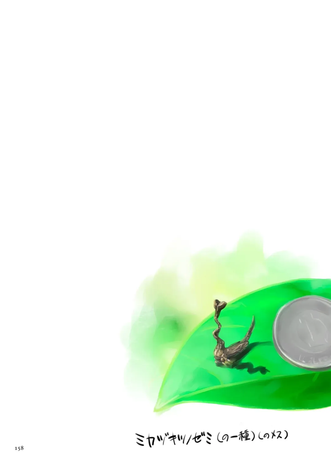 [Zerry Fujio] Fujicolor Fhentai - Page 158