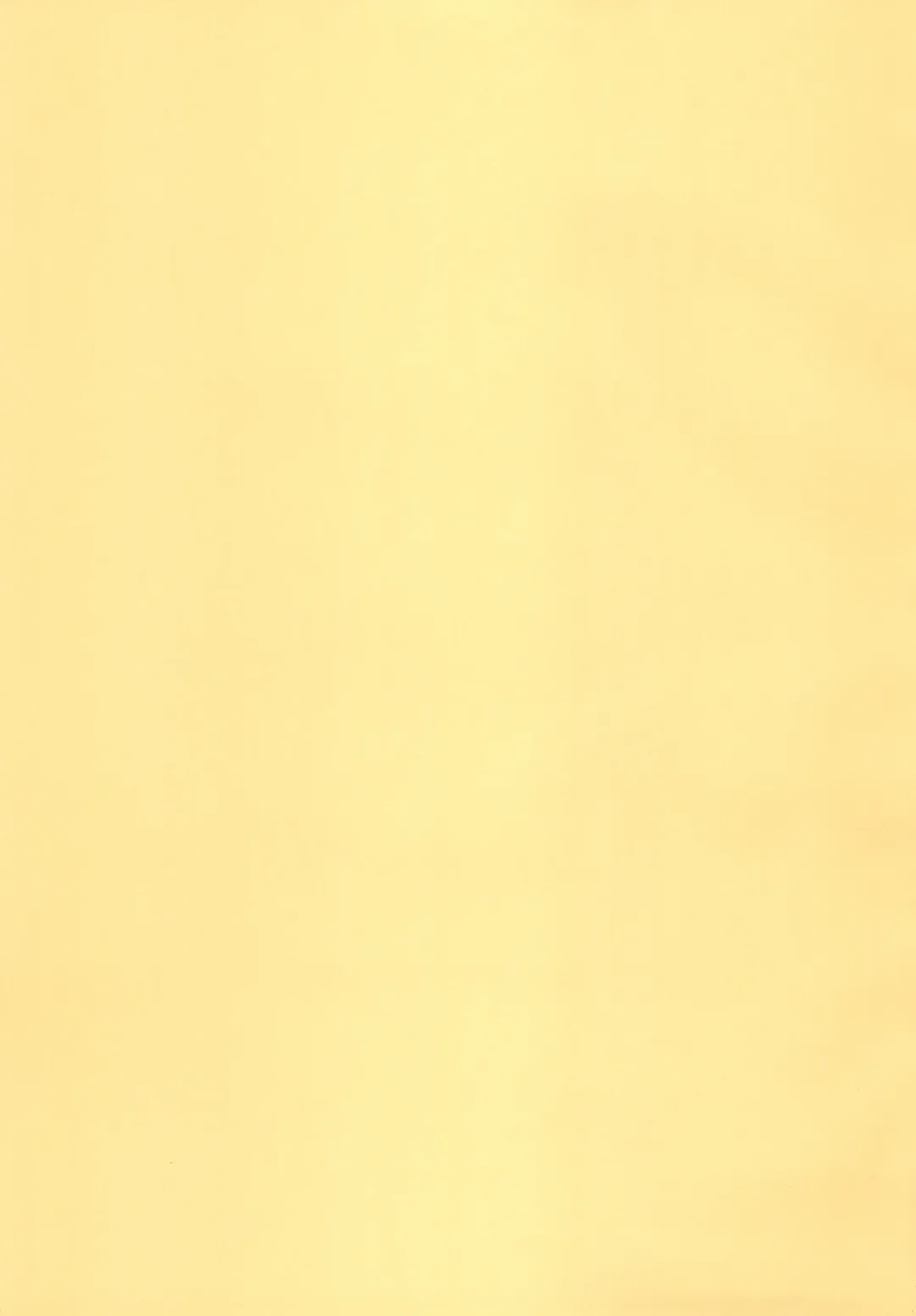 [Kaneda Asao] Neya no Majo Fhentai - Page 3