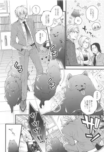 [Mikado] Pomesyu wa Homeraretai! Fhentai - Page 7