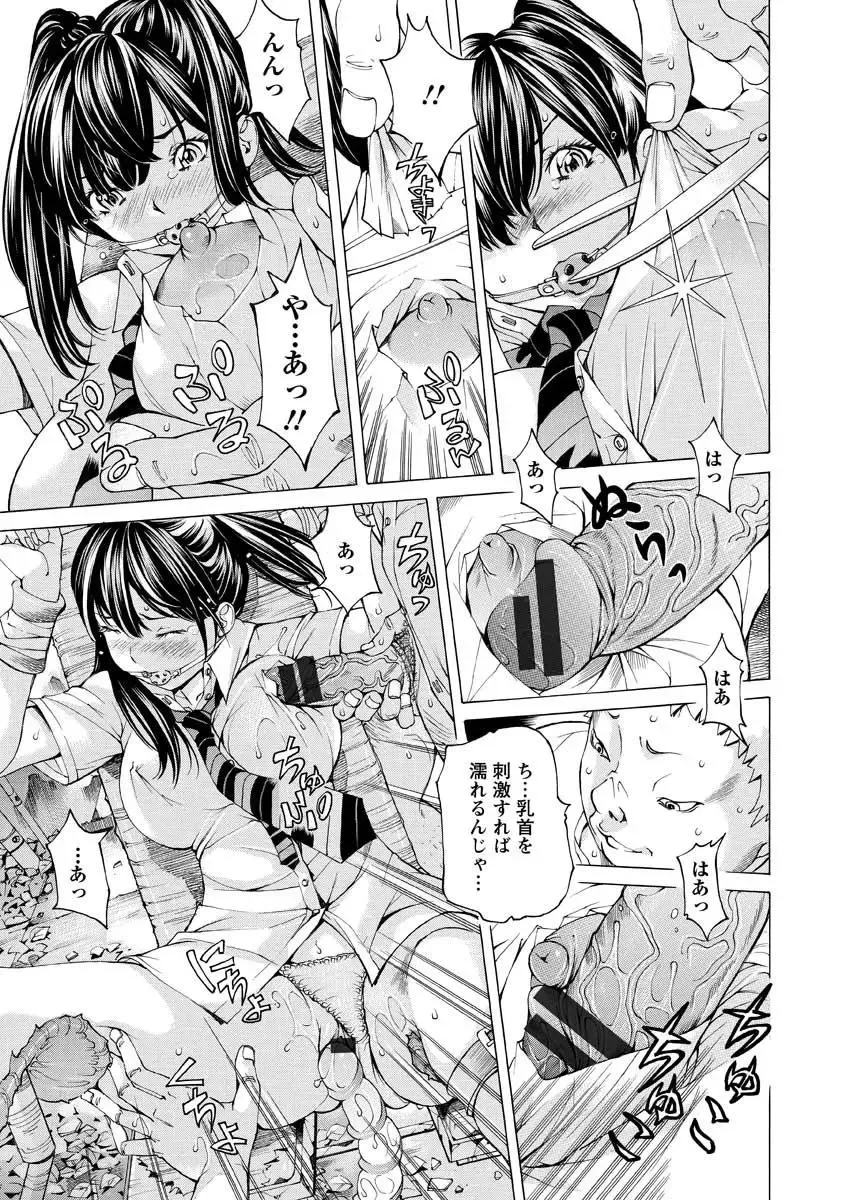 [Nohara Hiromi] Seigangu Kousoku Ningyou Fhentai - Page 37