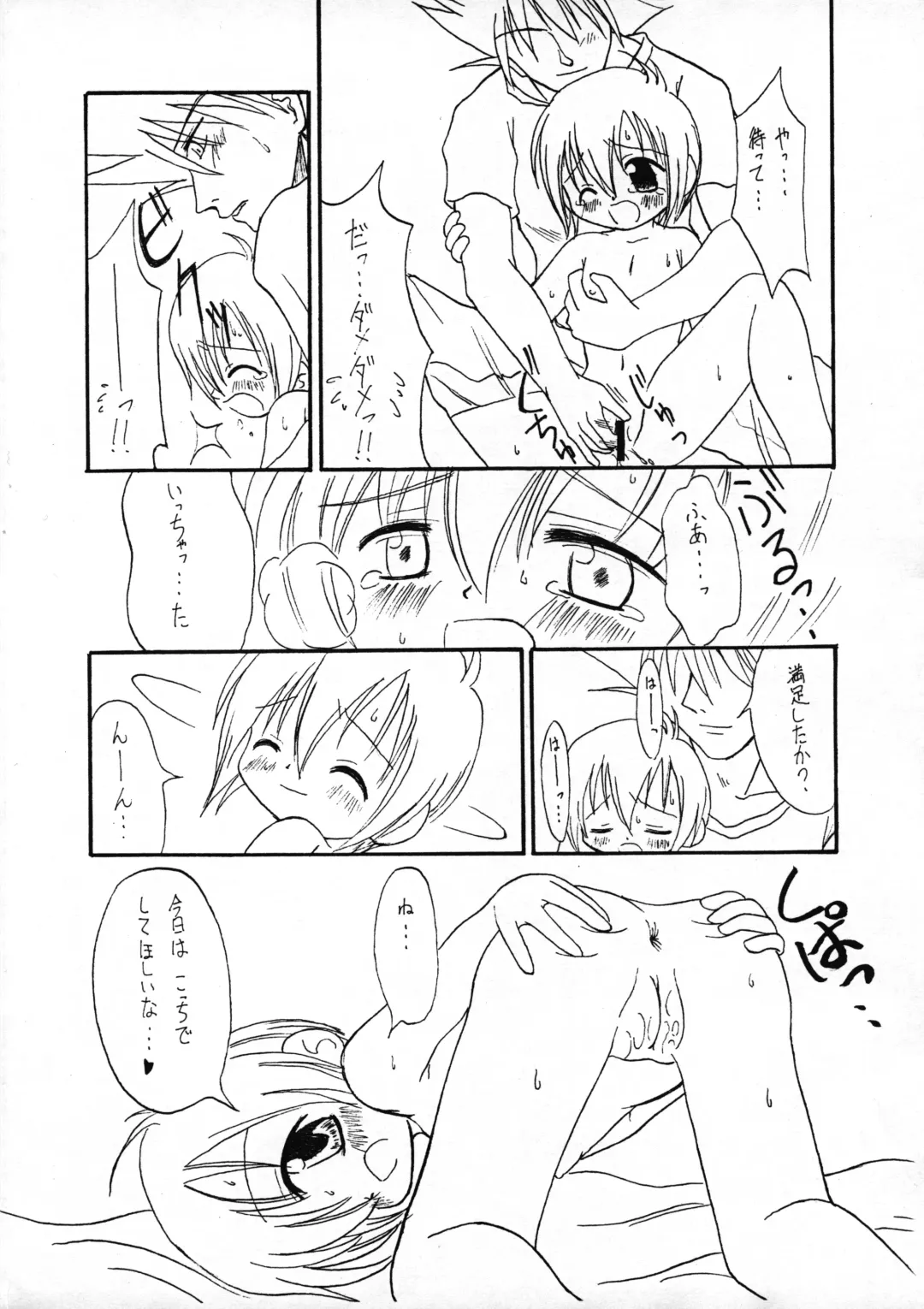 [Sagami Inumaru] Harujion Fhentai - Page 10