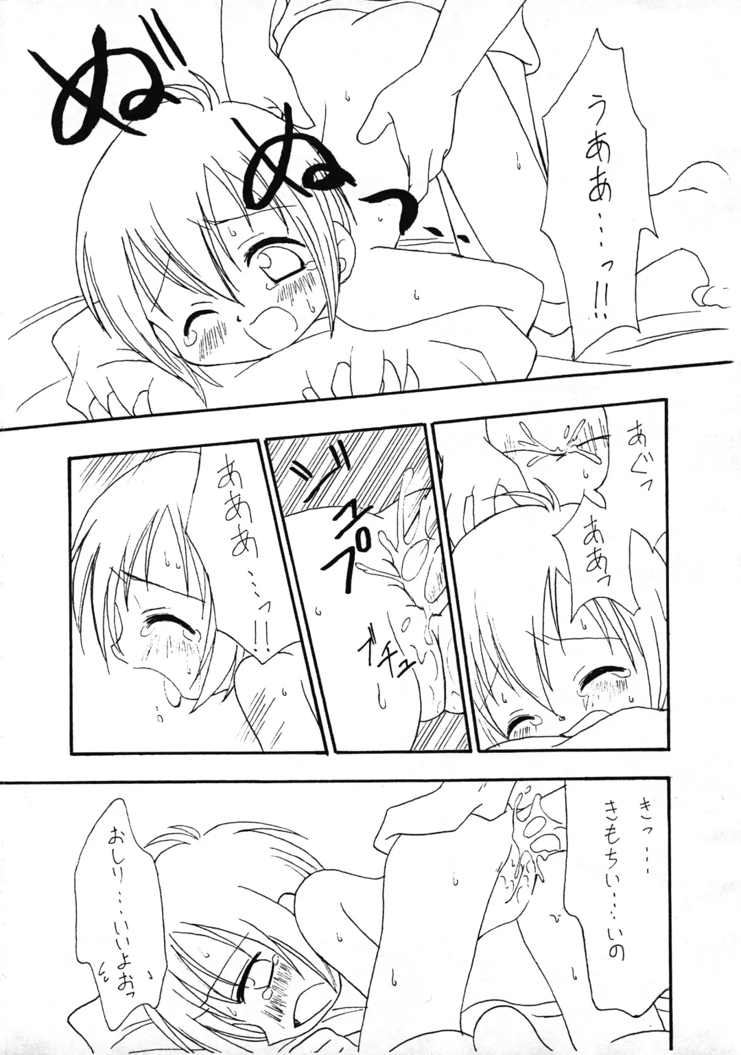 [Sagami Inumaru] Harujion Fhentai - Page 12