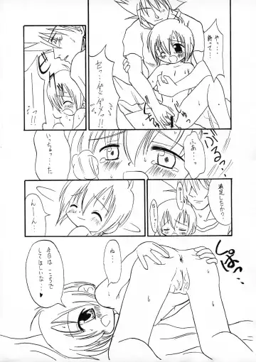 [Sagami Inumaru] Harujion Fhentai - Page 10