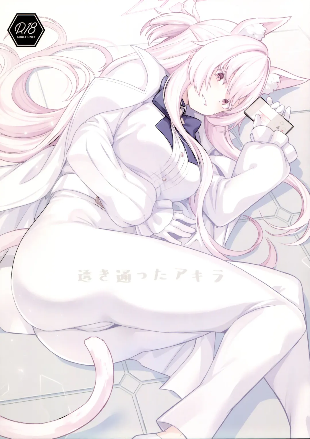 [Siseki Hirame] Sukitoutta Akira Fhentai - Page 1