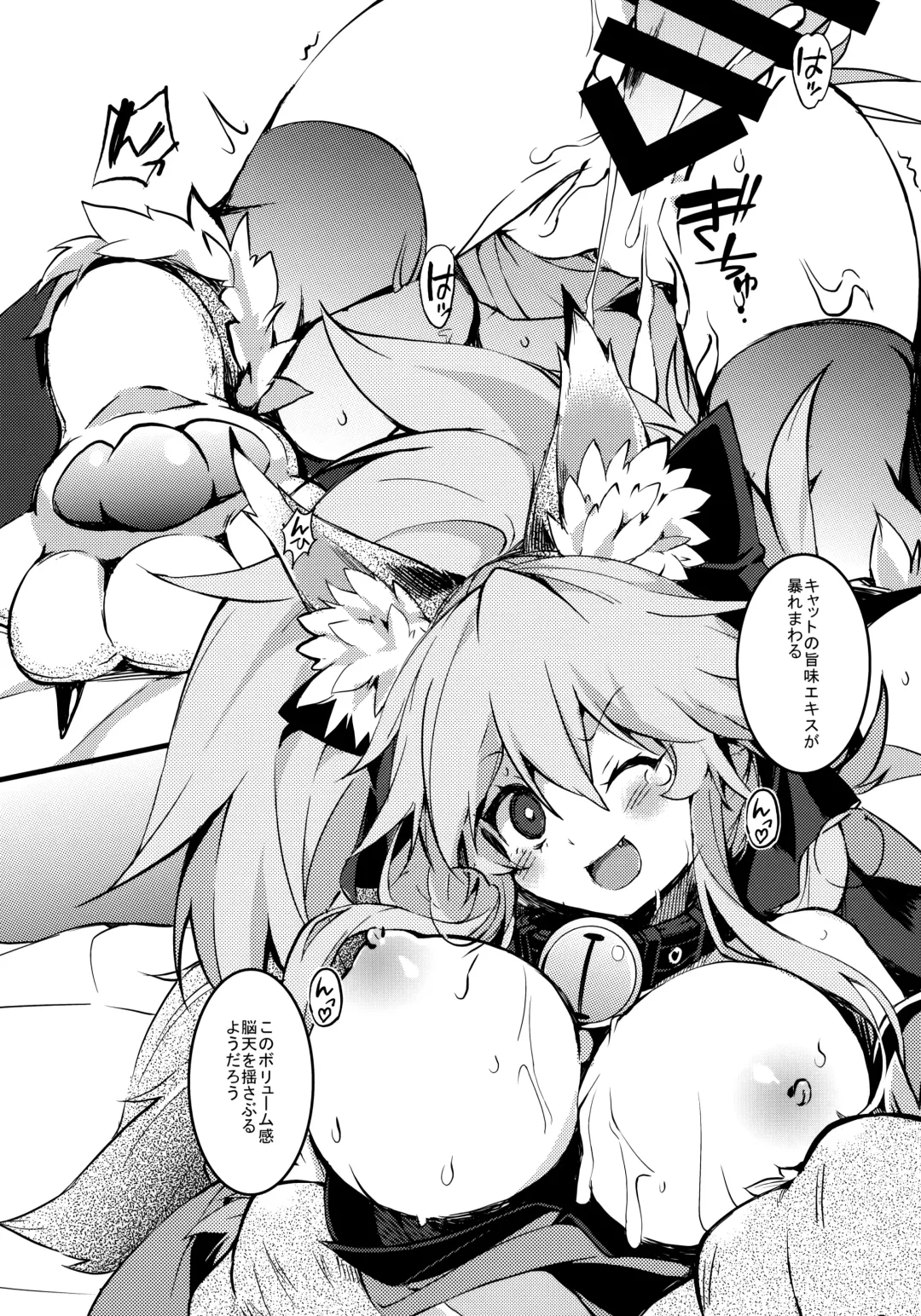 [Tomatomato] Cat-chan Pakopako Tanetsuke Seikatsu Fhentai - Page 15