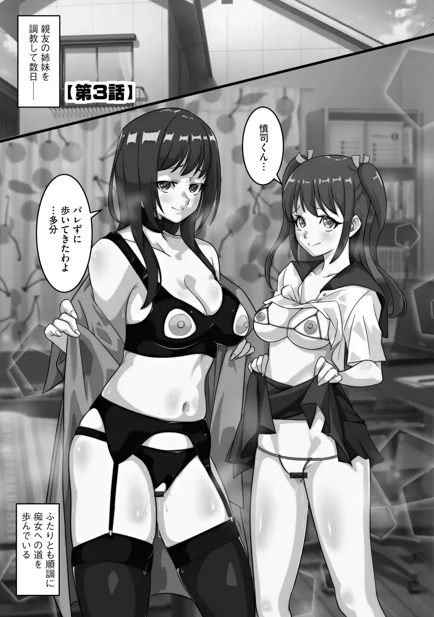 [Kuchibiru Chadzuke] Netorare Shimai Koukai Harem Fhentai - Page 47