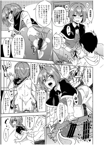 [Nijiden] Wakazuma Okazaki Kyouju o Oshiego ga Netoru Hon + Kaijou Gentei Paper Fhentai - Page 17