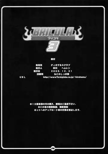 [Haikawa Hemlen] BRICOLA 3 Fhentai - Page 25