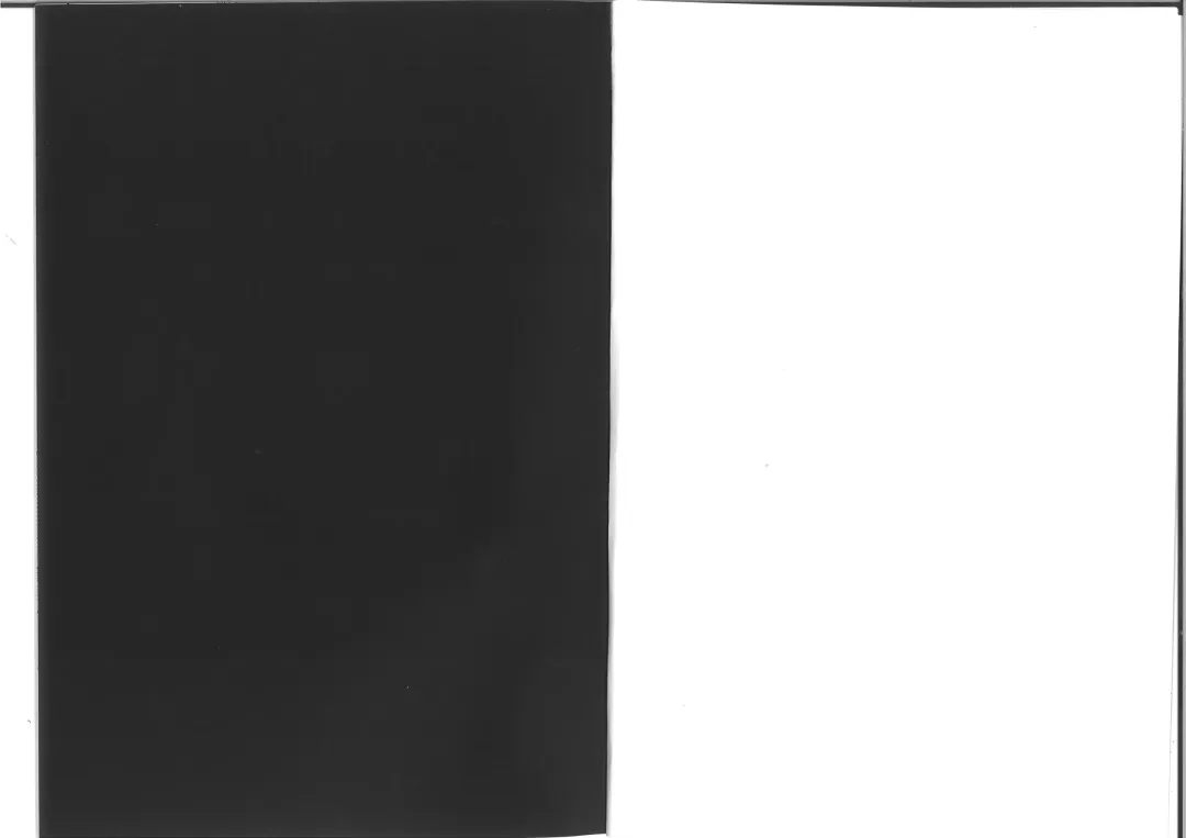 Hutari Shibai Fhentai - Page 2