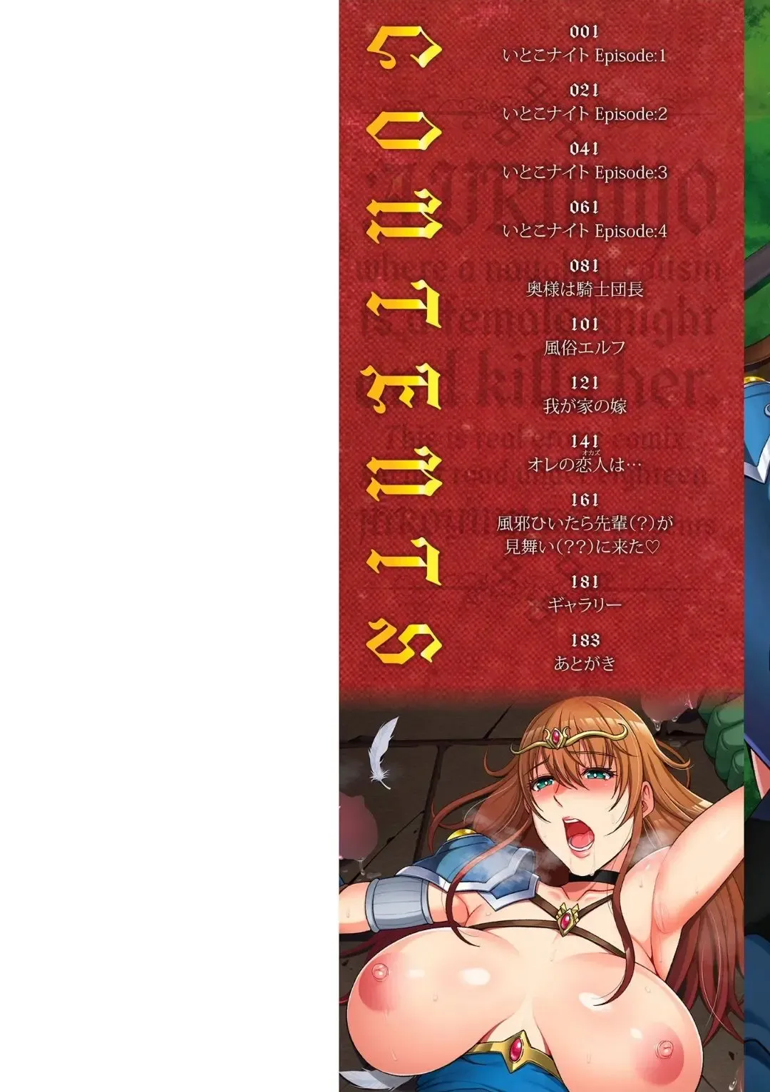 [Kai Hiroyuki] Ecchi na Itoko ga Onna Kishi de Kukkoro na VRMMO Ki Fhentai - Page 2